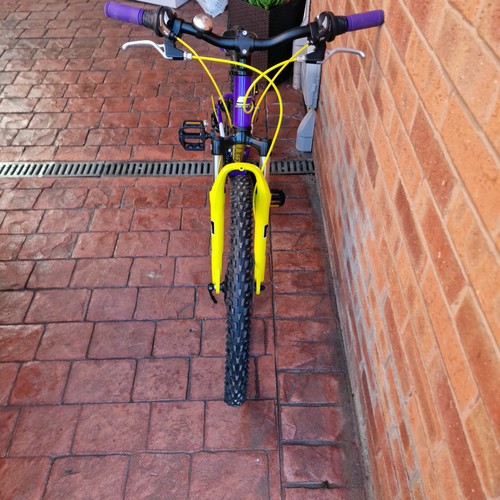 Carera luna ladies bike 24inch - ladies,